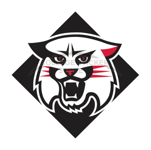 Customs Davidson Wildcats Iron-on Transfers (Wall Stickers)NO.4222